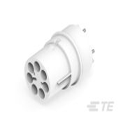293695-3 TE product image